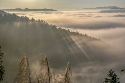 重庆酉阳：旖旎美景入画来