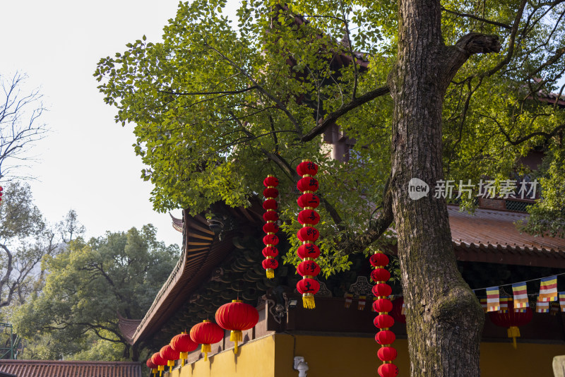 杭州上天竺法喜寺