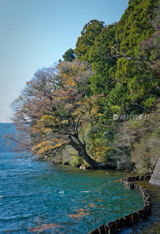 日本箱根，芦之湖