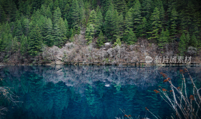 九寨沟的清澈湖水景观