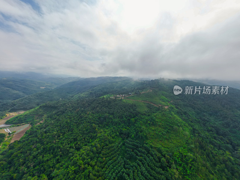 云雾笼罩下的葱郁山林鸟瞰全景