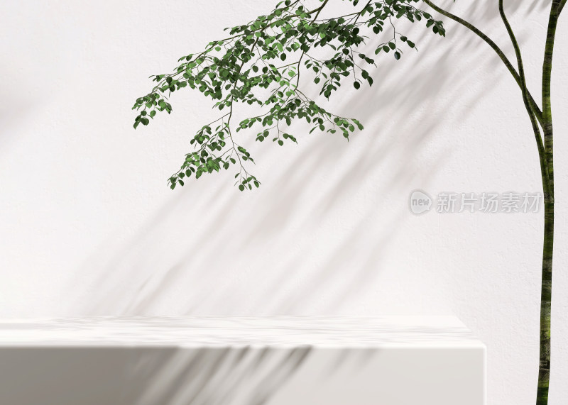 白色背景绿植与台面静物