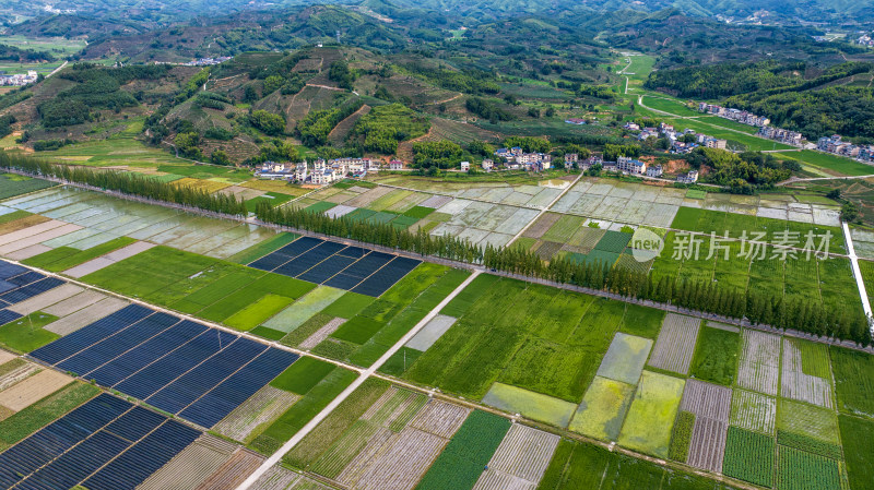 水稻种植基地，大面积的水稻田航拍