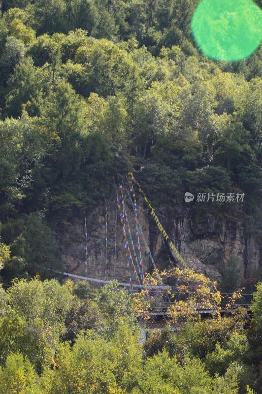 西藏巴松措景区风景