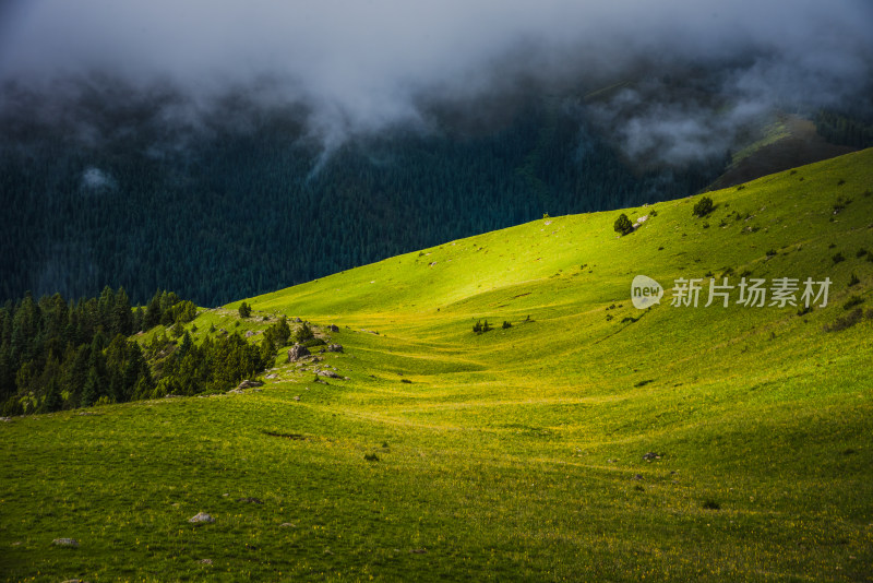 蓝天白云下广袤草原与连绵山峦自然风景