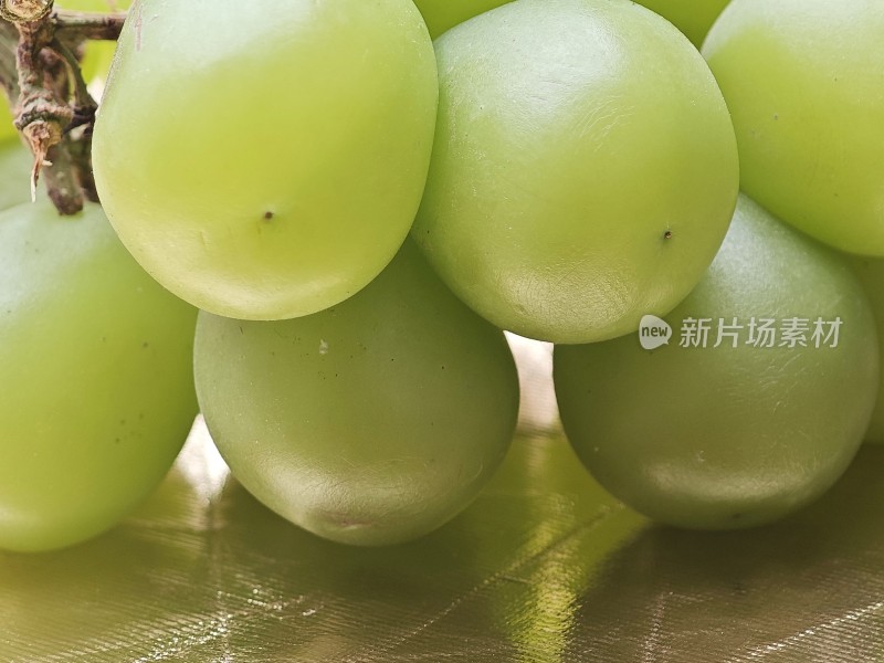 青提特写展示果实饱满的青提近景