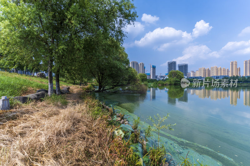 武汉汉阳墨水湖公园湿地公园