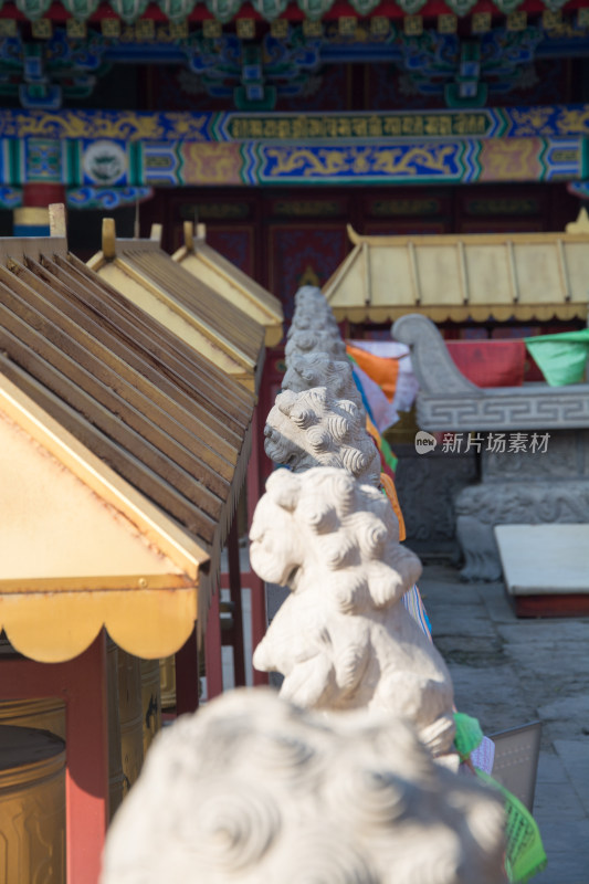 古建前石狮子