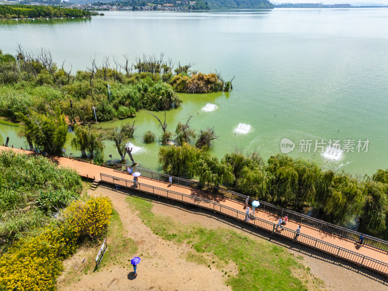 航拍昆明滇池捞鱼河湿地公园景观