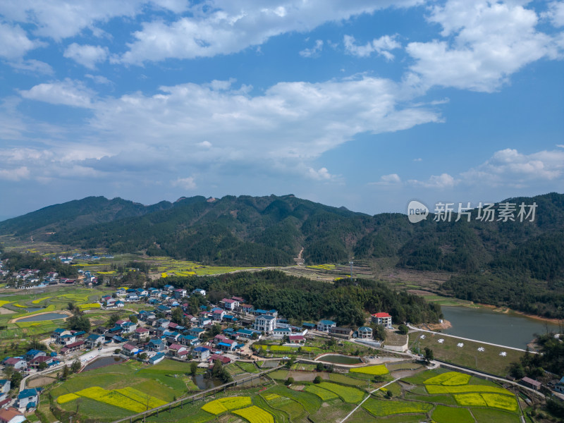 航拍美丽乡村农业农田油菜花海