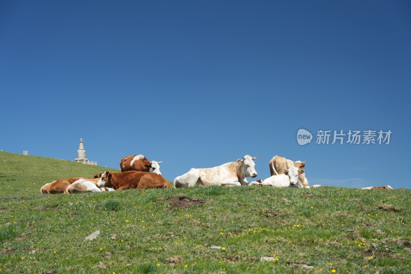 五台山南台风光