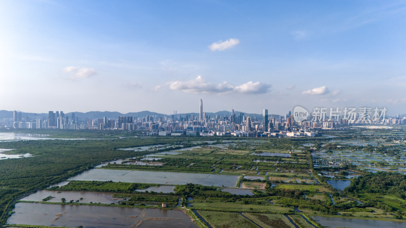 香港米埔自然护理区