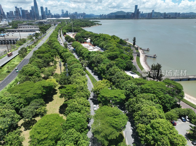 深圳湾 后海 深圳 深圳南山区 深圳湾公园