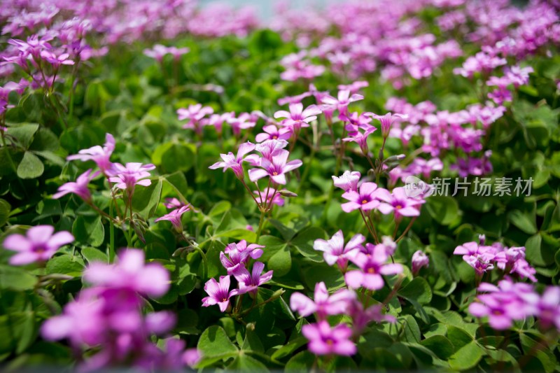 雨花台烈士陵园