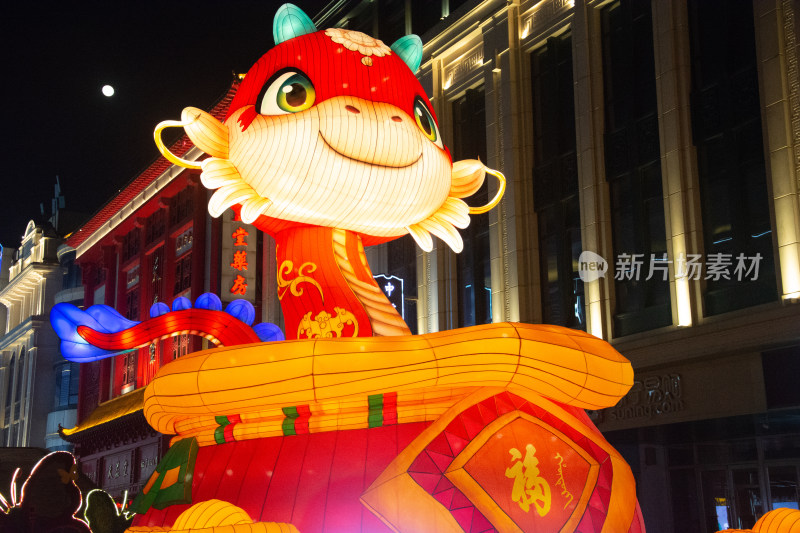 城市街道蛇形节日彩灯