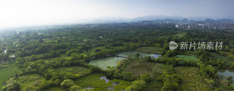 杭州余杭五常湿地夏天风光