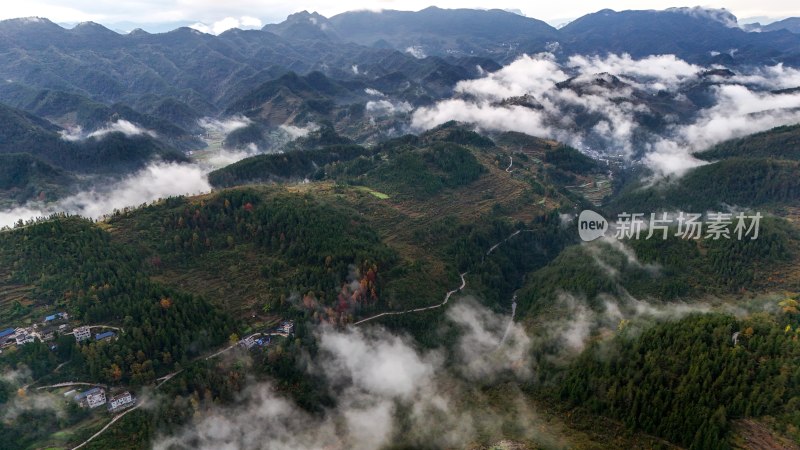 重庆酉阳：白果树边的美景