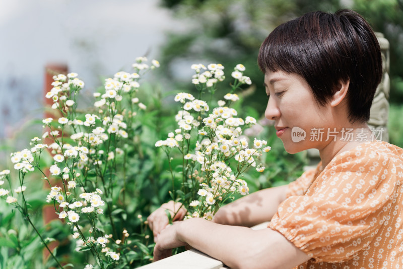 旅游景区欣赏白色小雏菊的东方女性