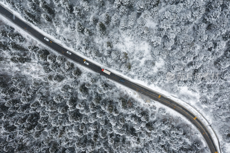 航拍汽车行驶在雪天鲁朗林海中的公路上