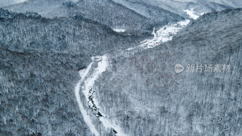 中国雪谷 雪漫山林