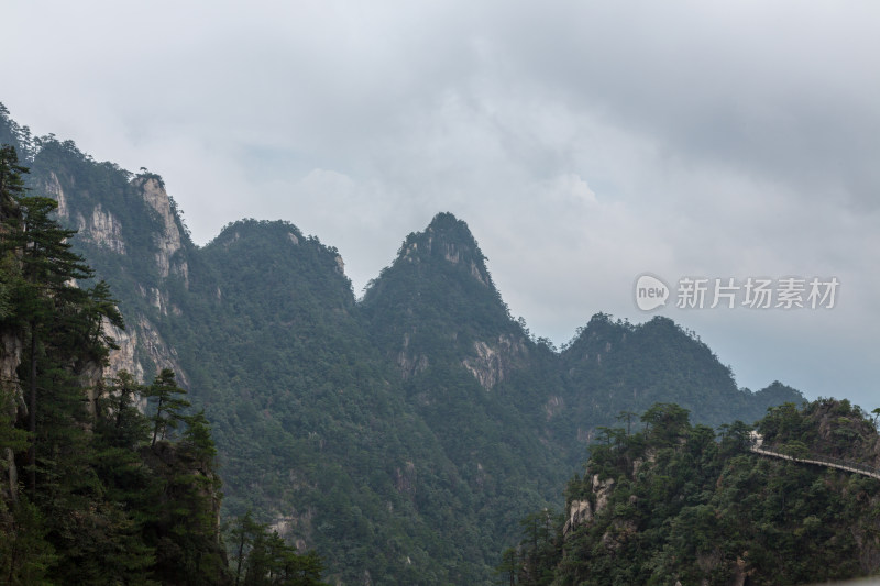 云海中的大明山