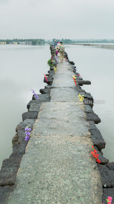 绍兴江南水乡避塘风景