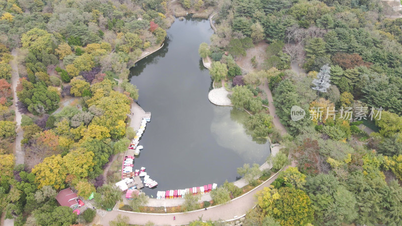 航拍青岛中山公园汇泉广场八大关风景区