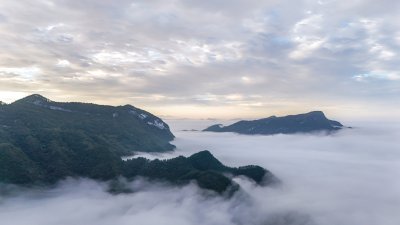 重庆酉阳：雾平如镜好似“神龟出海”