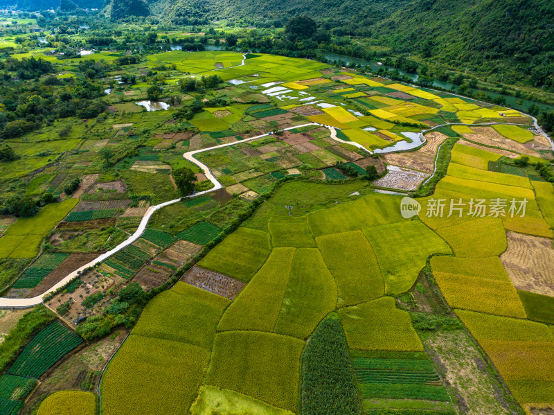 桂林阳朔十里画廊遇龙河山水风光 金秋稻田