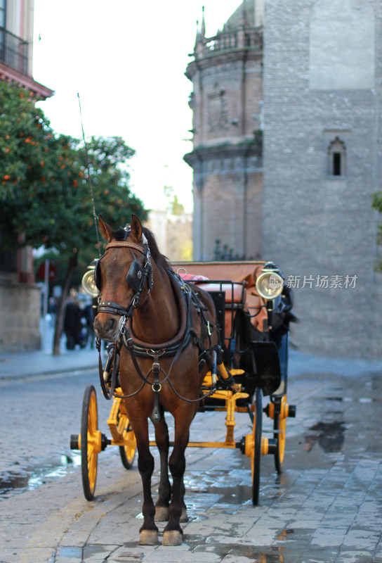 西班牙街头中世纪的交通工具马车
