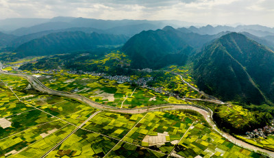 汉中油菜花海