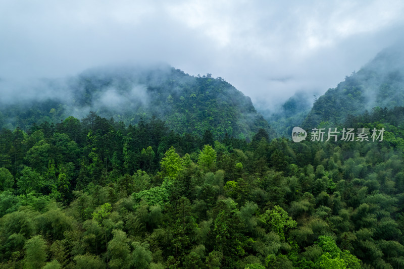 山林云雾缭绕自然风光