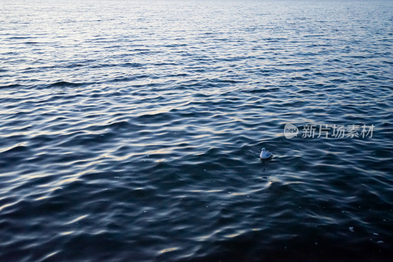 内蒙古额济纳，居延海的湖面