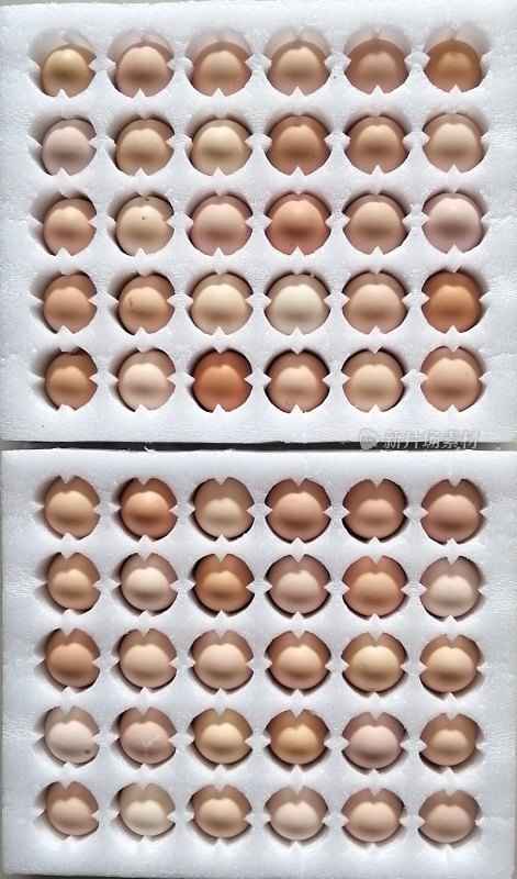 鸡蛋泡沫包装