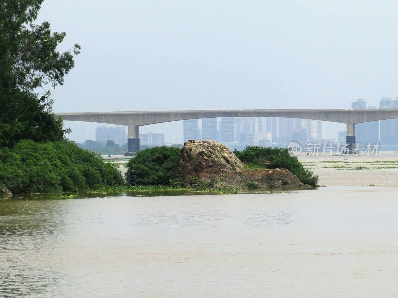 广东东莞：东江鸡心石