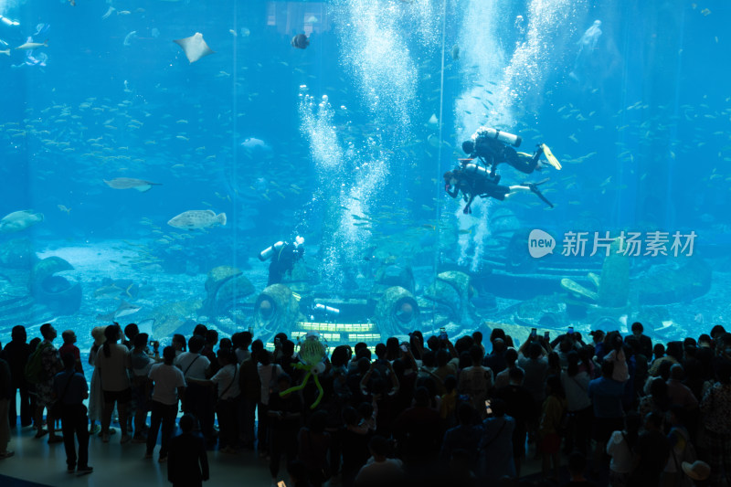 三亚亚特兰蒂斯水族馆人群