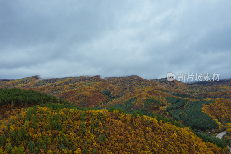 航拍黑龙江省伊春市小兴安岭腹地秋季的森林