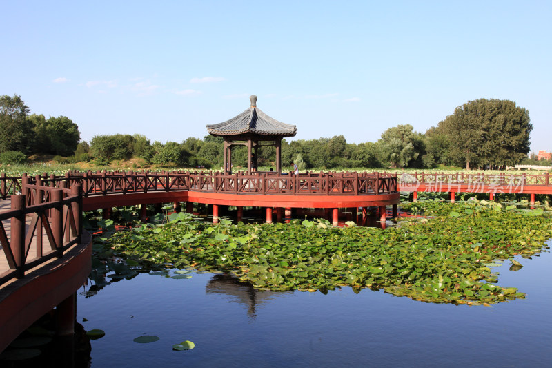 圆明园风景