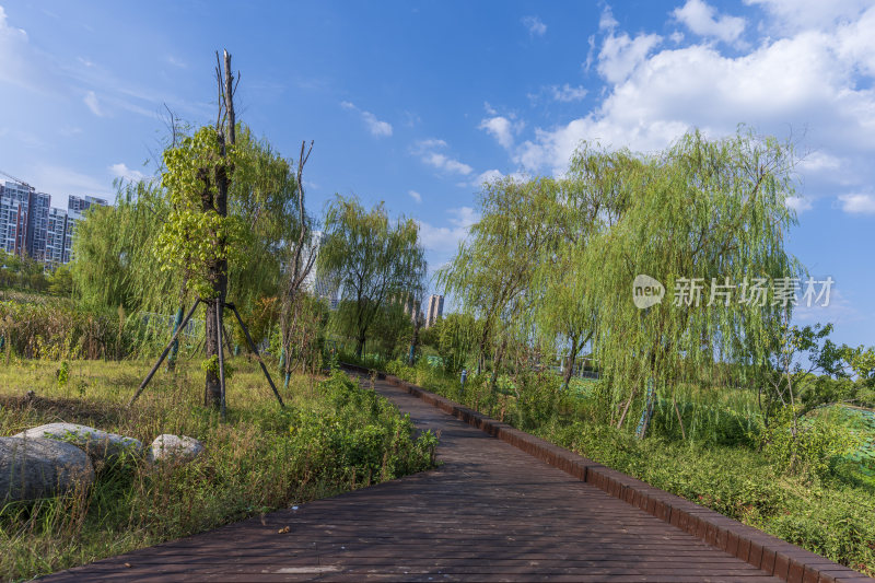 武汉江夏中央大公园风景