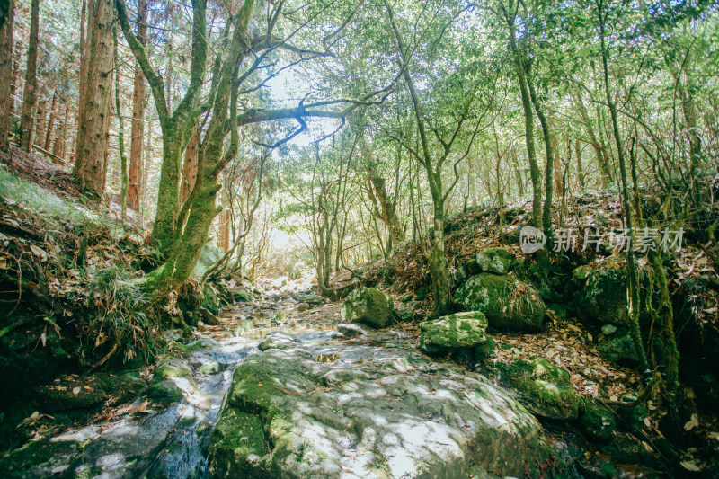 浙江丽水龙泉市瓯江源景区风光