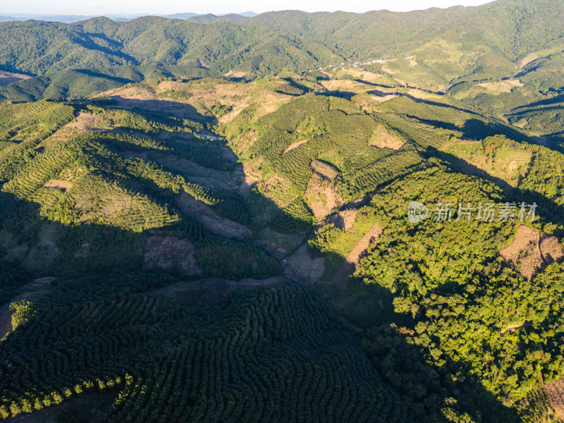 航拍视角下的大片绿色山林山脉全景