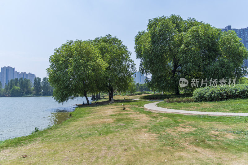 武汉江夏区悦湖公园风景