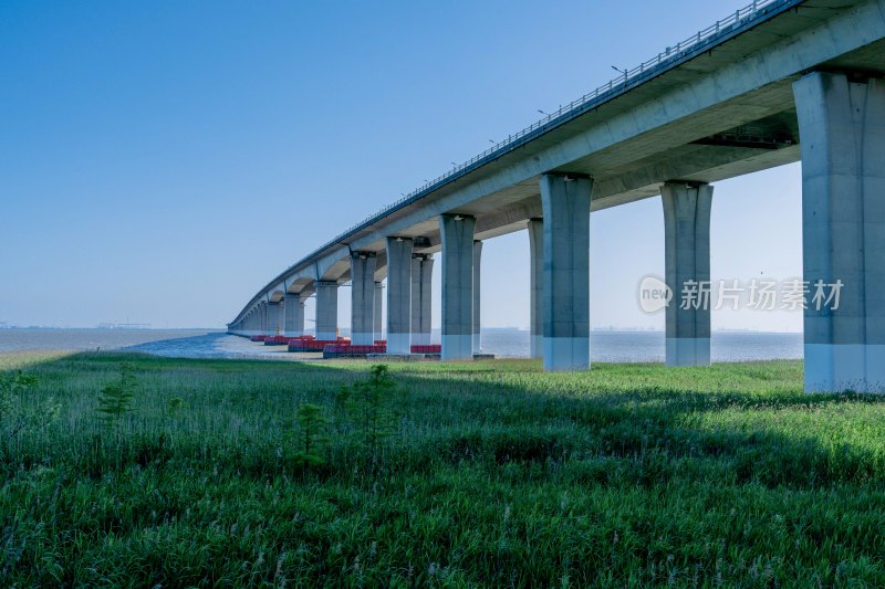 上海长江大桥崇明岛