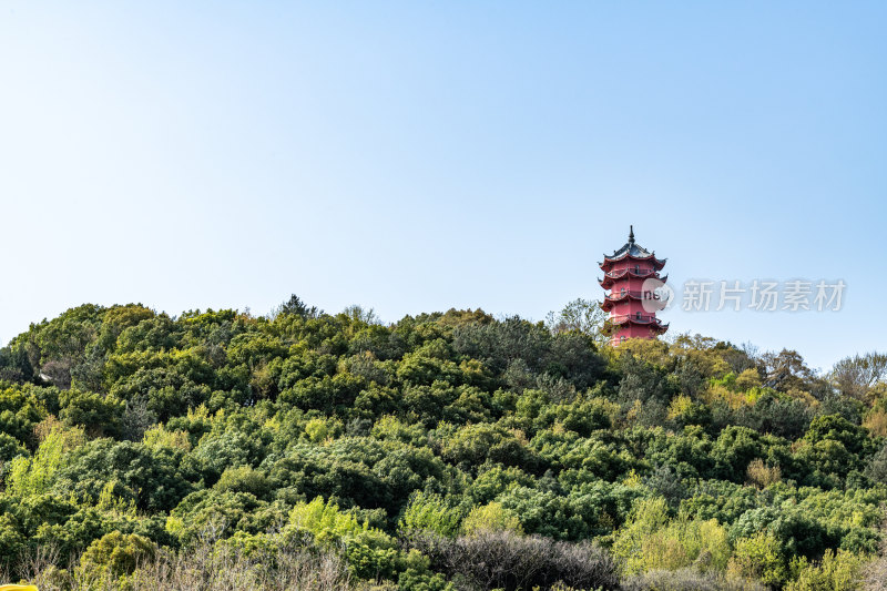 早春的无锡惠山古镇景点景观