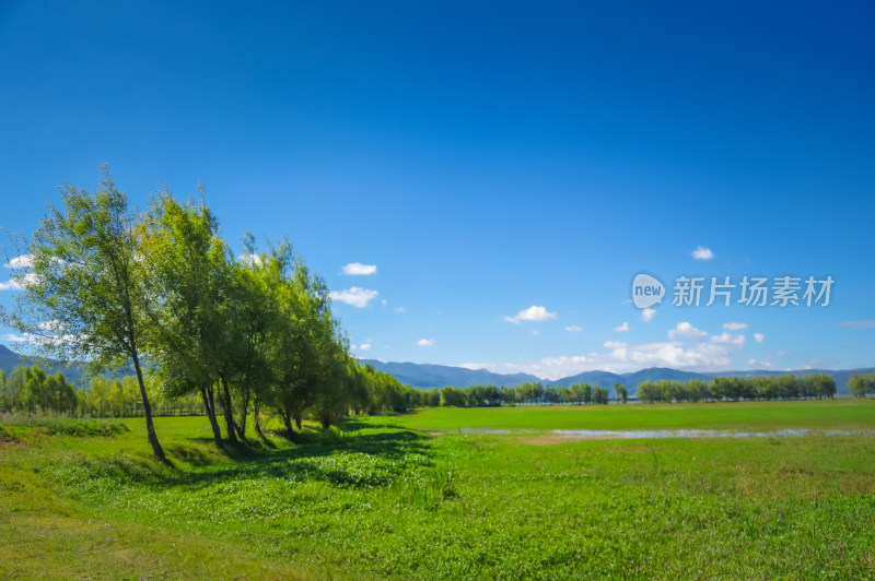 丽江拉市海湿地蓝天白云青山绿水自然风景