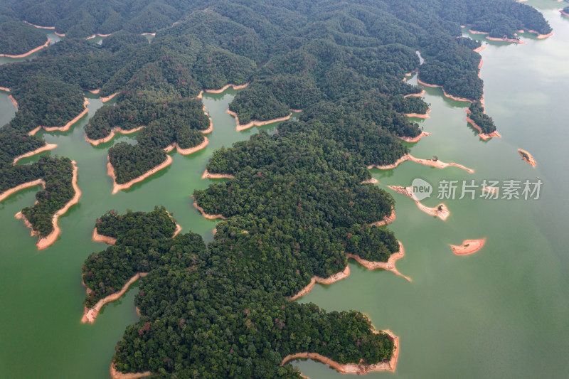 广州流溪河国家森林公园