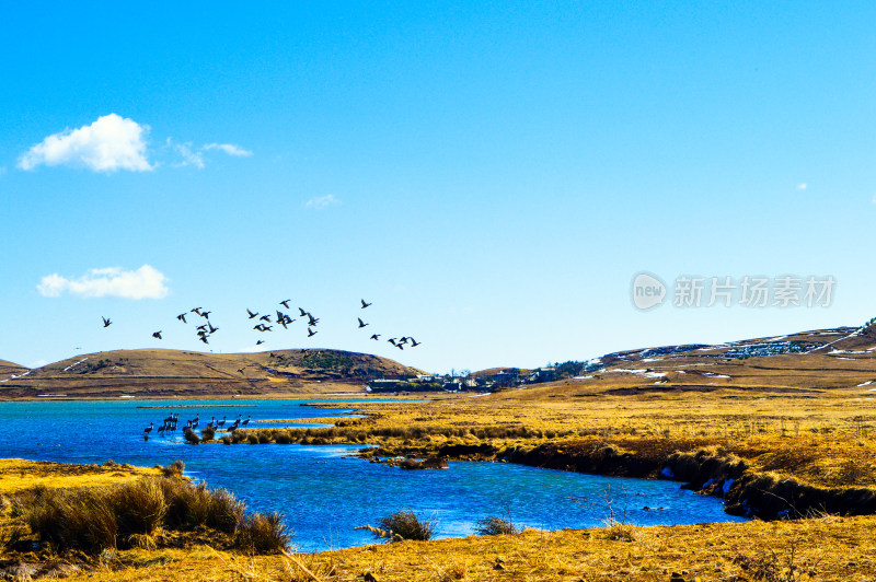 昭通大山包黑颈鹤天空湖泊风景