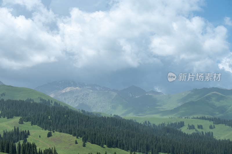 新疆伊犁那拉提景区