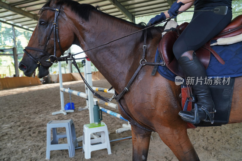 障碍训练场上骑马的年轻女子局部特写