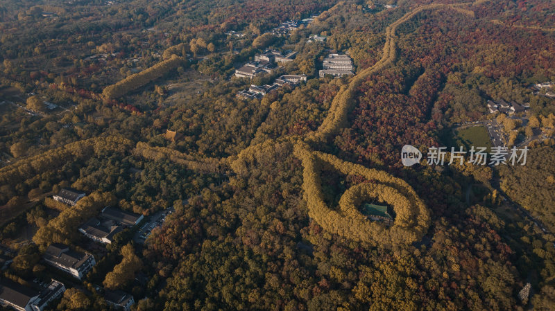 南京美龄宫秋景航拍（图4）